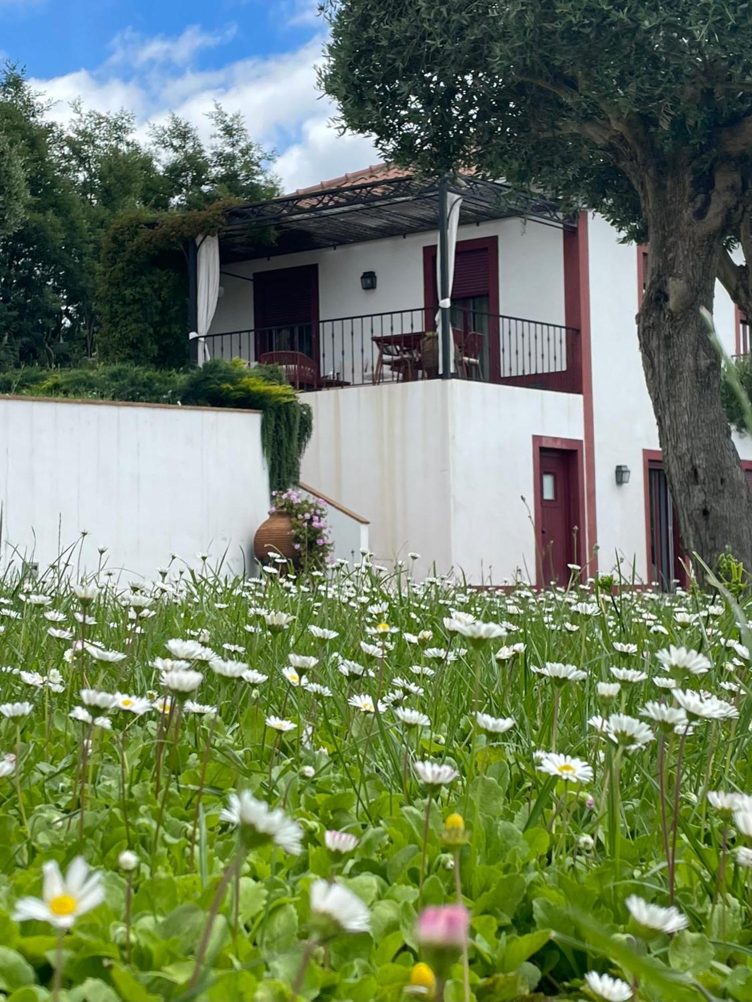 דירות מונטרמור-או-נובו Quinta Da Asneira מראה חיצוני תמונה